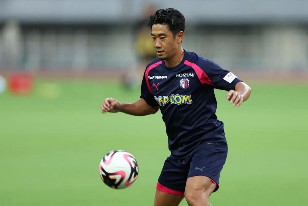 shinji kagawa 02