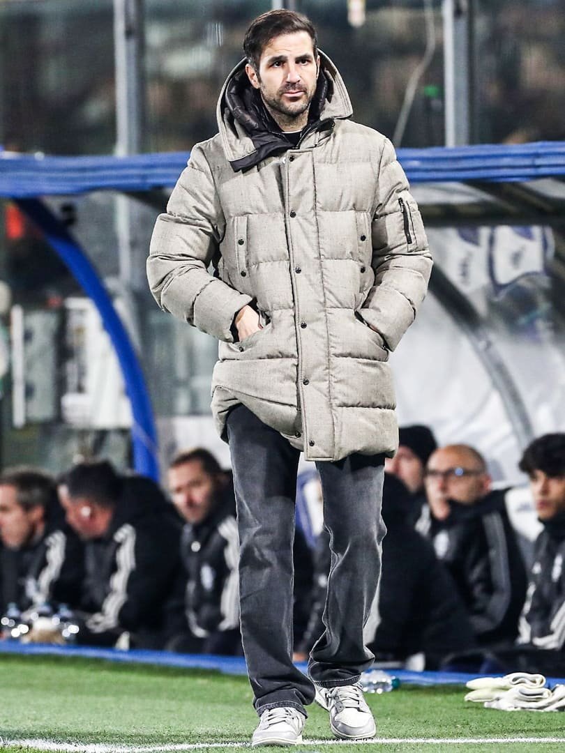 cesc fabregas 3