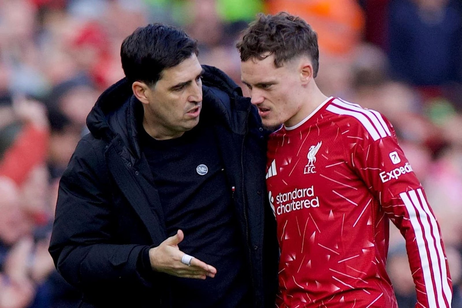 เวียร์ตซ์ ลิเวอร์พูล ข้อเท้าพลิกในเกมชนะไบรท์ตัน 2-0
